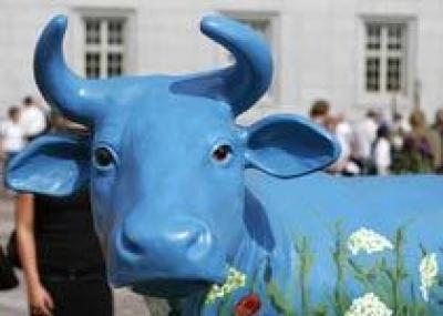 Синие коровы привлекут туристов в Латвию