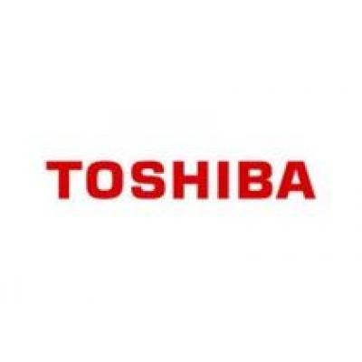 Toshiba разработала мобильный голосовой переводчик