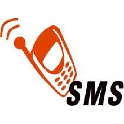 Китайский новый год может установить рекорд по числу отправленных SMS