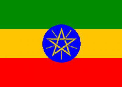 Осенью в Эфиопии можно встретить `миллениум`