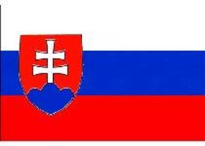 Словакия вводит новые правила оформления виз