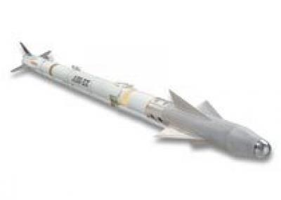 ОАЭ заказали у США 218 ракет Sidewinder