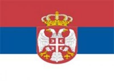 Сербия попросила Россию помочь с модернизацией армии