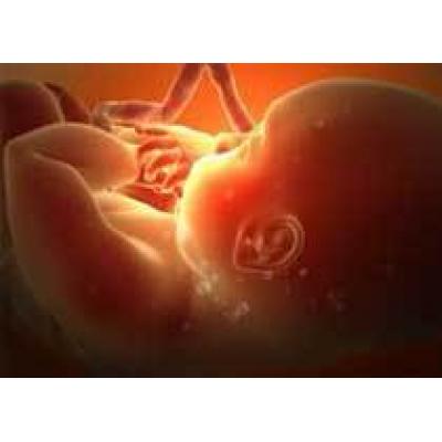 Частота возникновения внематочной беременности повышается в связи с увеличением использования вспомогательных репродуктивных технологий
