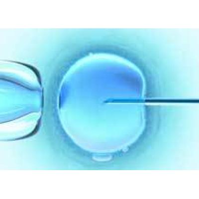 В Японии пациентке по ошибке подсадили во время ЭКО чужой эмбрион