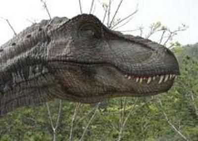 В Швейцарии обнаружено кладбище динозавров