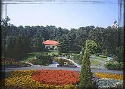 В Оломоуце состоится крупнейшая экспозиция цветов