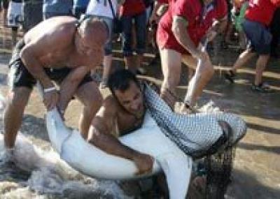Акула больше не пугает туристов на пляже Испании