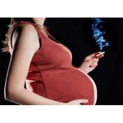 Привычки матери влияют на фертильность сына