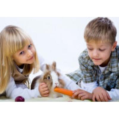 Как выбрать ребенку кролика