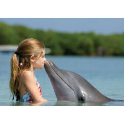 Дельфинарий для ребенка