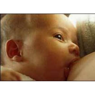 Запах кормящих матерей усиливает сексуальное желание