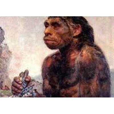 Ученые выяснили, что неандертальцы могли говорить не хуже людей