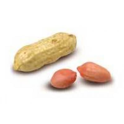 Лечебные свойства арахиса