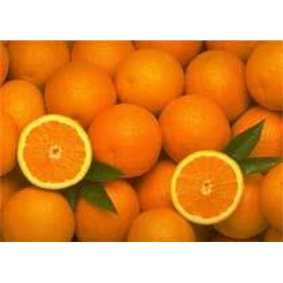 Лечебные свойства апельсина