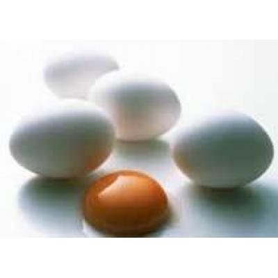Для профилактики рака молочной железы следует ежедневно есть яйца