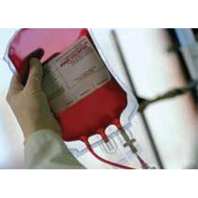Единая информационная база доноров крови будет разработана в России в течение года