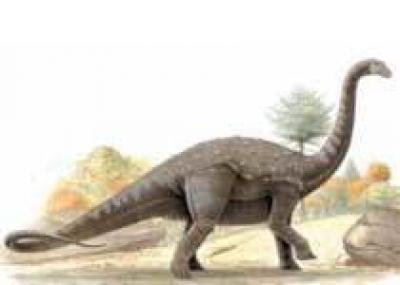 Ученые обнаружили новый вид титанозавра