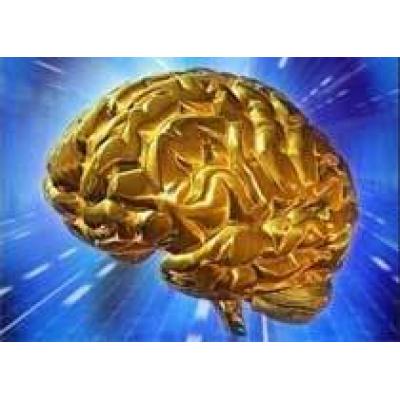Курьезные мифы и факты о работе человеческого мозга