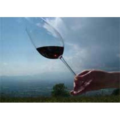 Большие дозы самого полезного компонента красного вина, ресвератрола, защищают организм от многих признаков старения