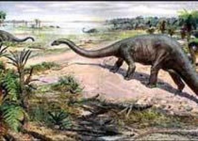 Динозавров погубило глобальное потепление
