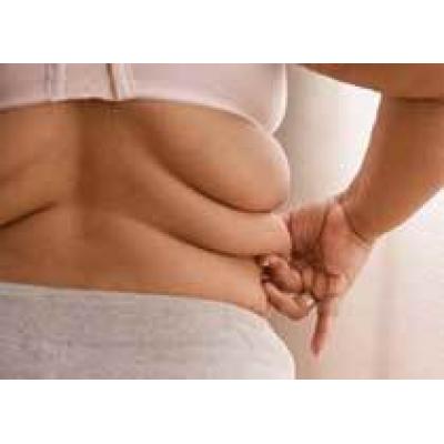 Ученые нашли «тормоз» ожирения