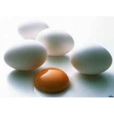 Хотите снизить свой вес - ешьте яйца