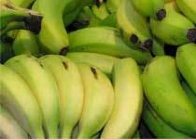 Голландские острова завалило бананами