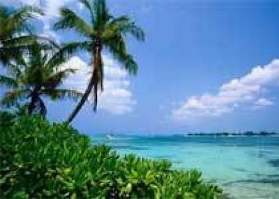 На Багамах появится экокурорт