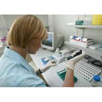 A/H1N1 пришел в Россию