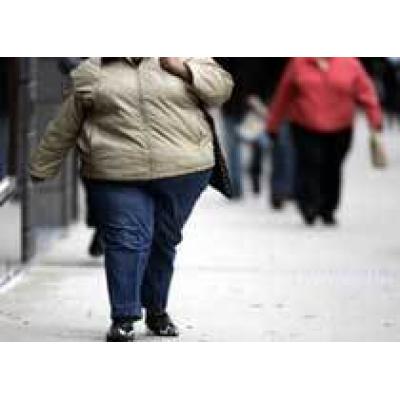Ожирение приводит к атрофии головного мозга