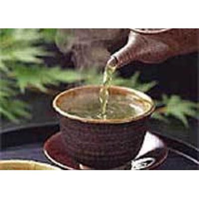 Зеленый чай омолаживает кровь лучше лекарств