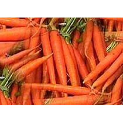 Морковь предотвращает рак