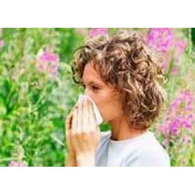 Медики: Траволечение может ухудшить симптомы астмы