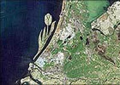 Нидерланды построят остров в виде тюльпана