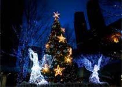 Организаторы новогодних праздников в Борисполе обещают сделать главную елку города самой красивой, наивысшей и самой яркой