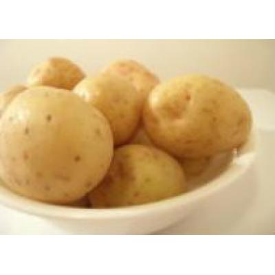 Сок картофеля способствует лечению язвы желудка