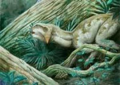 Окаменелость раскрыла секрет кожи динозавров