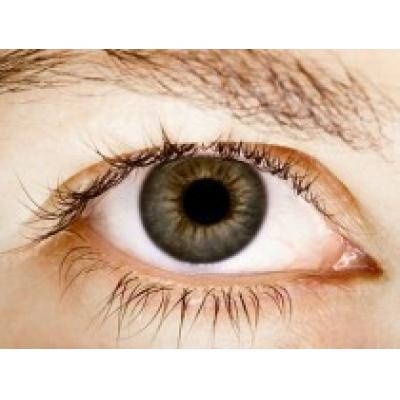 Сохранить зрение помогут профилактика, спорт и зарядка для глаз