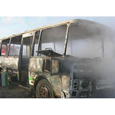 На стоянке в Санкт-Петербурге сгорели девять автобусов