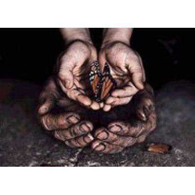 Эффект бабочки в нашей жизни