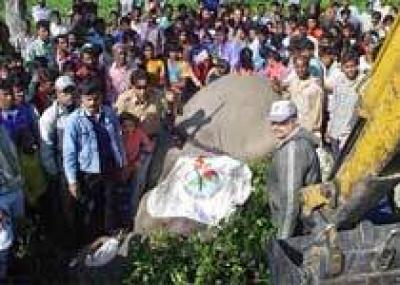 В Индии застрелен слон по кличке `Усама бен Ладен`, убивший 11 человек