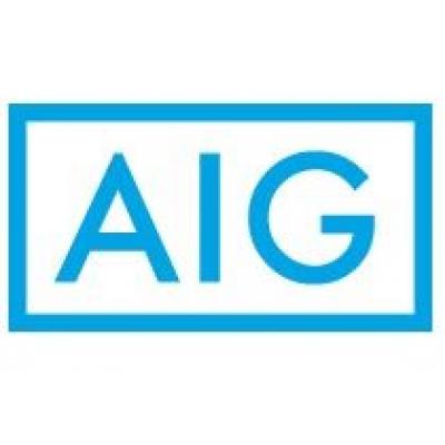 AIG в России: эффективный риск-менеджмент в ТЭК невозможен без риск-инженеров