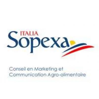 Председатель французской ассоциации `Sopexa` считает молдавские вина исключительными