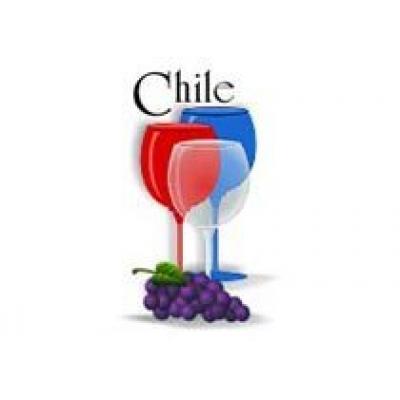 Экспорт чилийского вина увеличивается