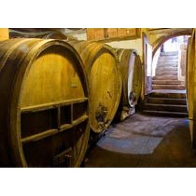 Производство кубанских вин составило более 18,5 млн гекталитров