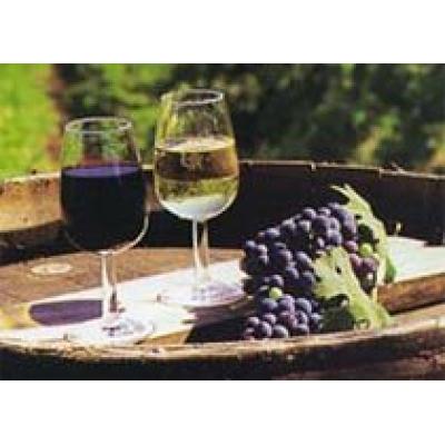 `Вайнмен` представит вина на грузинском рынке