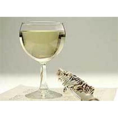 Белые вина Испании от Концепт-трейда