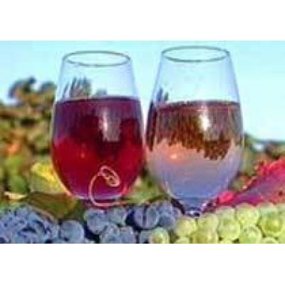 Бахчисарайский винодельческий завод закончил первый квартал с чистым убытком в 2,82 млн грн