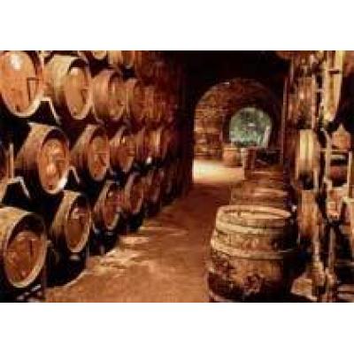 Итальянский бар агитирует за безалкогольное вино